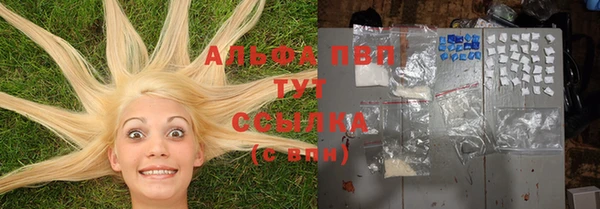 ГАЛЛЮЦИНОГЕННЫЕ ГРИБЫ Надым
